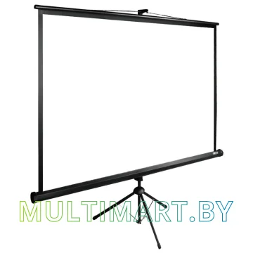 Проекционный экран CACTUS TriExpert 200x200 (CS-PSTE-200х200-BK) картинка 2
